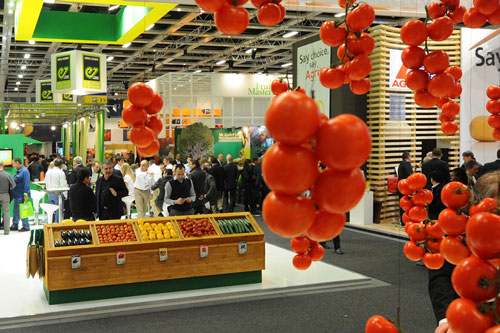 fruit logistica 2013 1